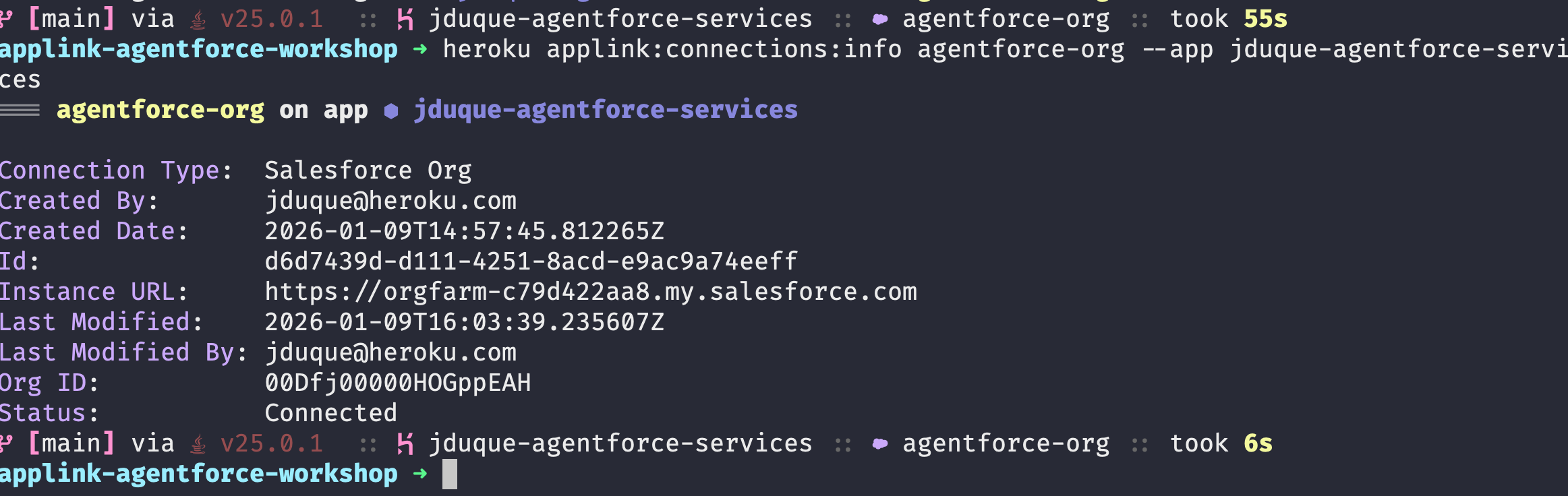 Heroku App Connection Info